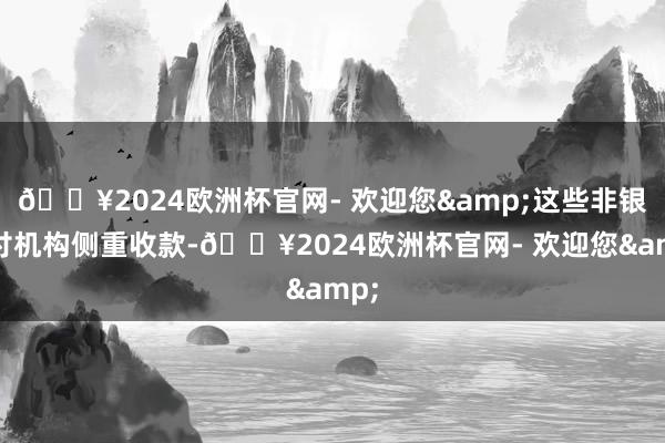 🔥2024欧洲杯官网- 欢迎您&这些非银支付机构侧重收款-🔥2024欧洲杯官网- 欢迎您&